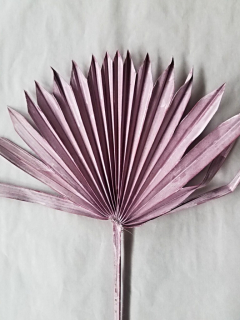 Palm sun spear lila stonewash